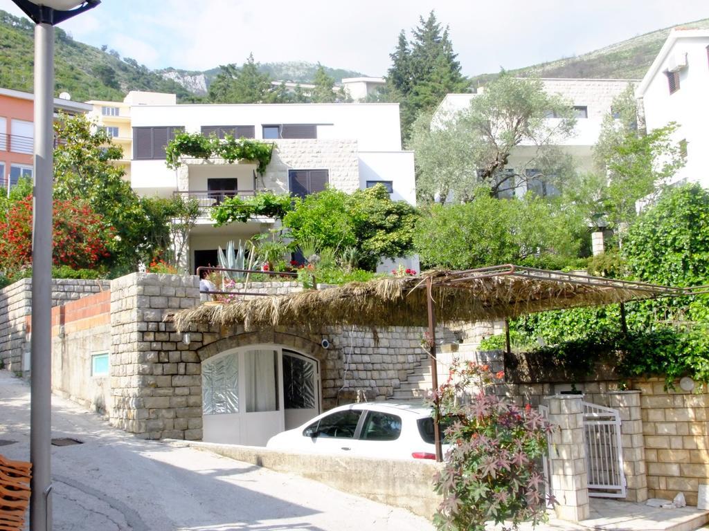 Apartments Minja Nerin Petrovac エクステリア 写真