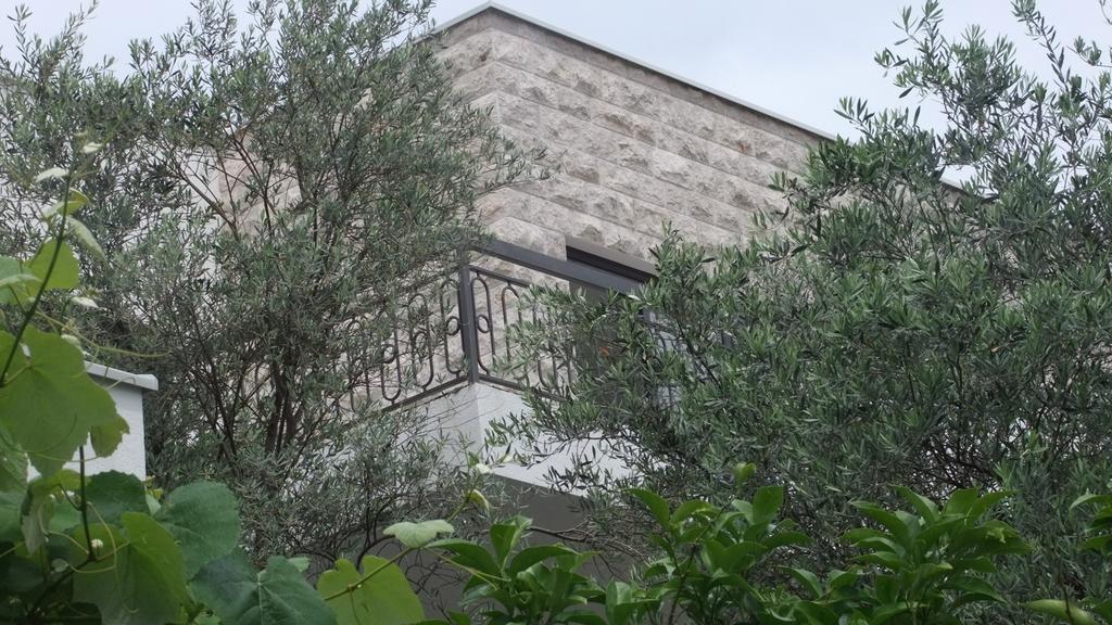 Apartments Minja Nerin Petrovac エクステリア 写真