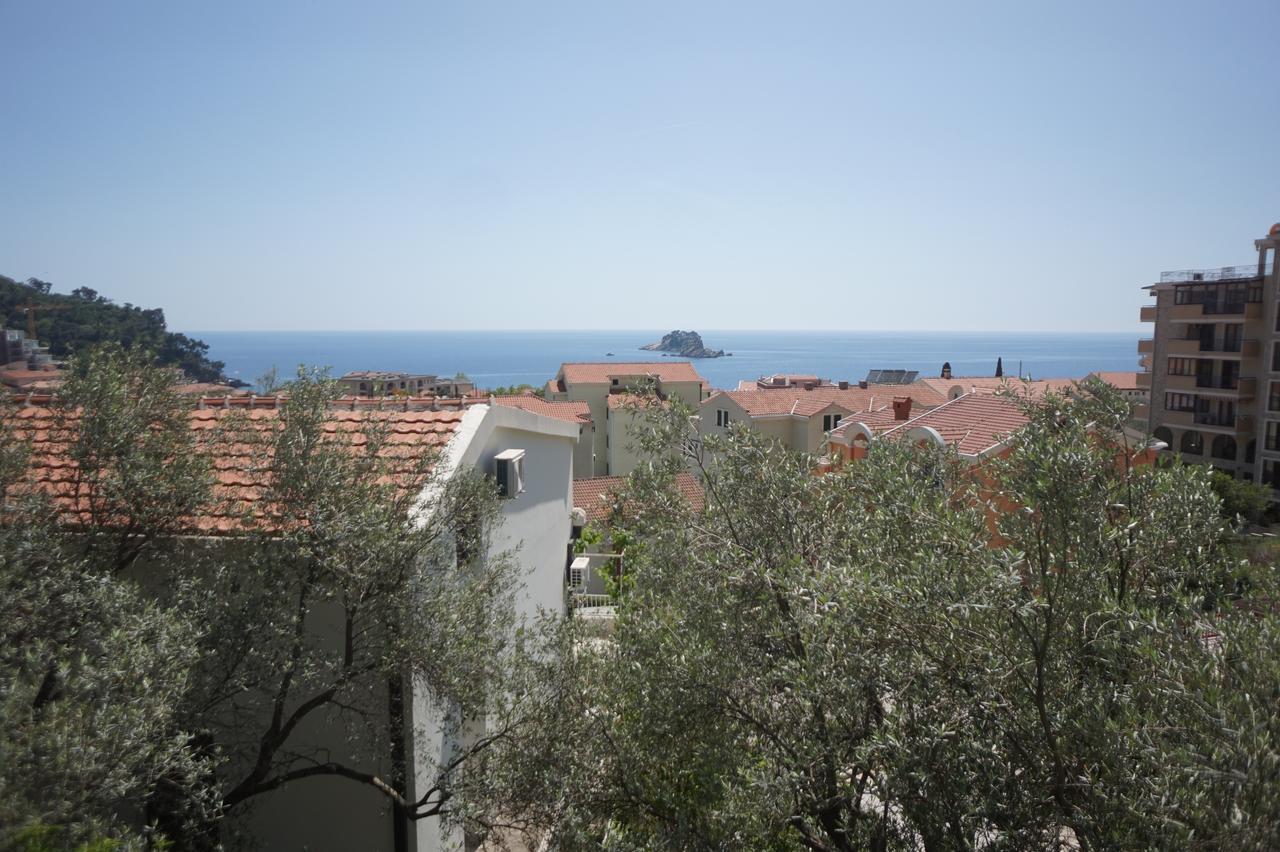 Apartments Minja Nerin Petrovac エクステリア 写真